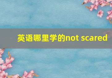 英语哪里学的not scared